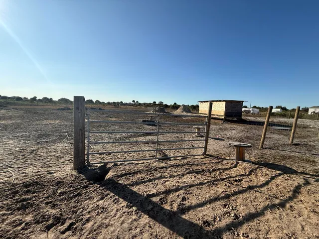 a view of a dry yard with trees