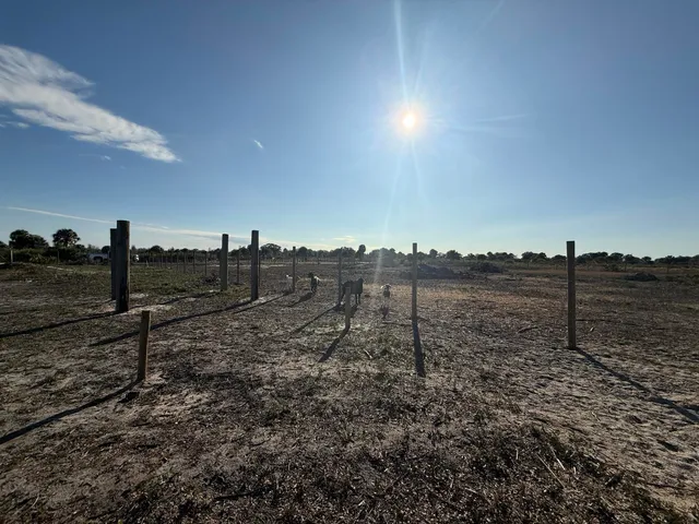 a view of a street sign on a wooden wall