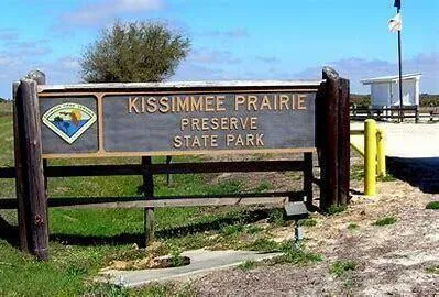 a view of an ocean and beach
