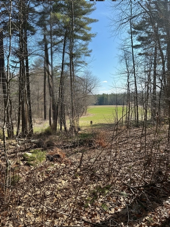 18 C Granby Road Belchertown, MA 01007 - Photo 1 of 11 a view of a backyard with large trees