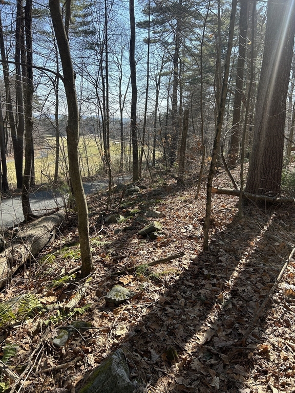 18 C Granby Road Belchertown, MA 01007 - Photo 8 of 11 a view of a forest with trees