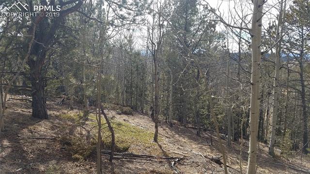 826 Princess Road Cripple Creek, CO 80813 - Photo 26 of 33 Gallery Image 26