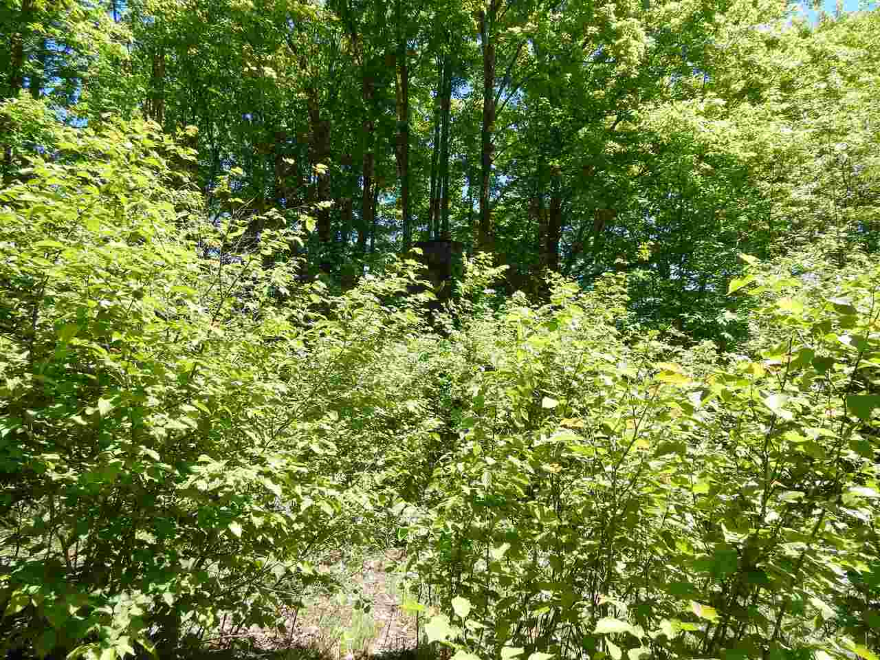 2434 Low Highrolloway Road Manistique, MI 49854 - Photo 60 of 96 1802122-60.JPG