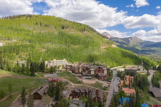 a view of swimming pool of water with lawn chairs and large trees