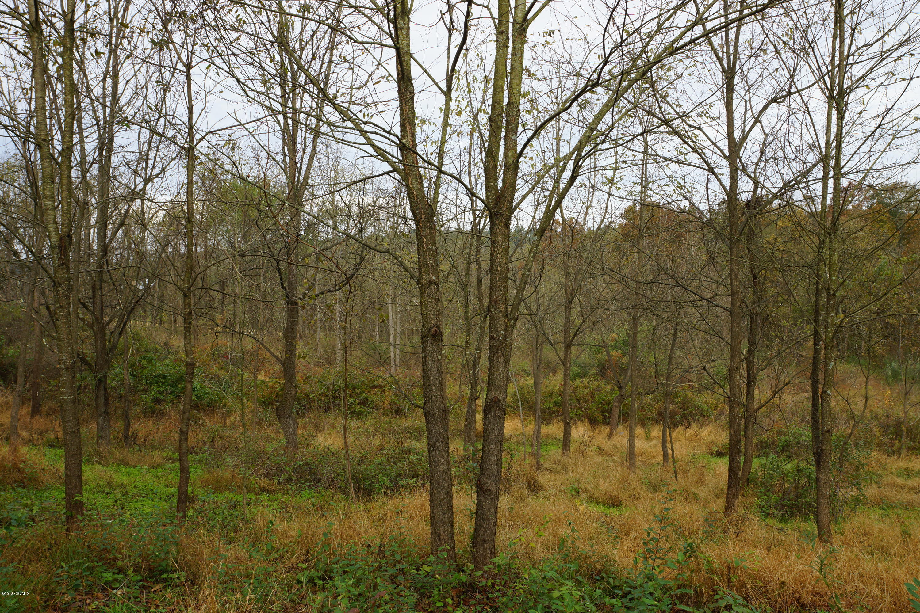 Lot 4 Milroy Road New Columbia, PA 17856 - Photo 12 of 27