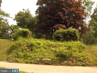 8511 Lynnewood Road Philadelphia, PA 19150 - Photo 6 of 6