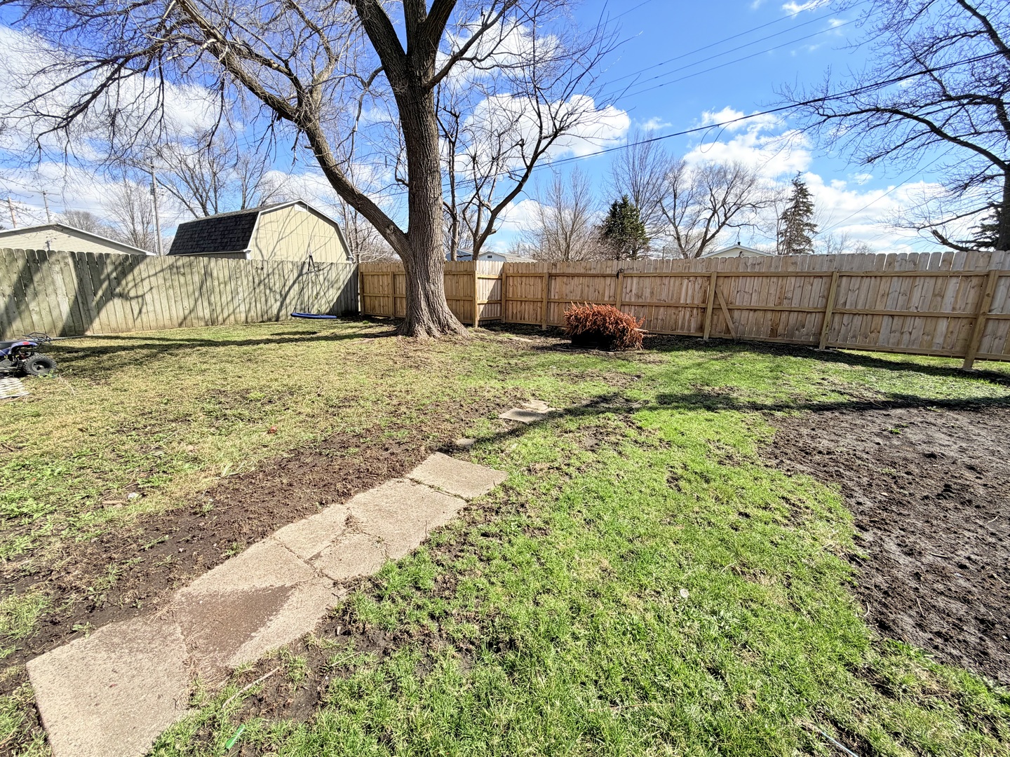 608 West Cedar Street Le Roy, IL 61752 - Photo 17 of 17 a view of backyard with tree