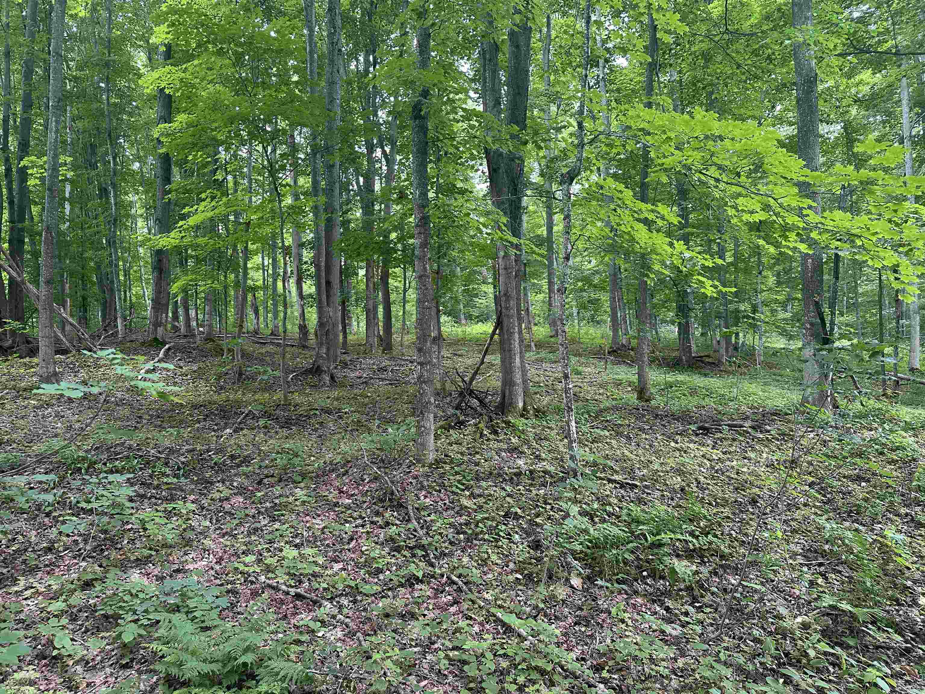 11605 South Tower Road, Unit LOT: 5 Maple City, MI 49664 - Photo 4 of 11