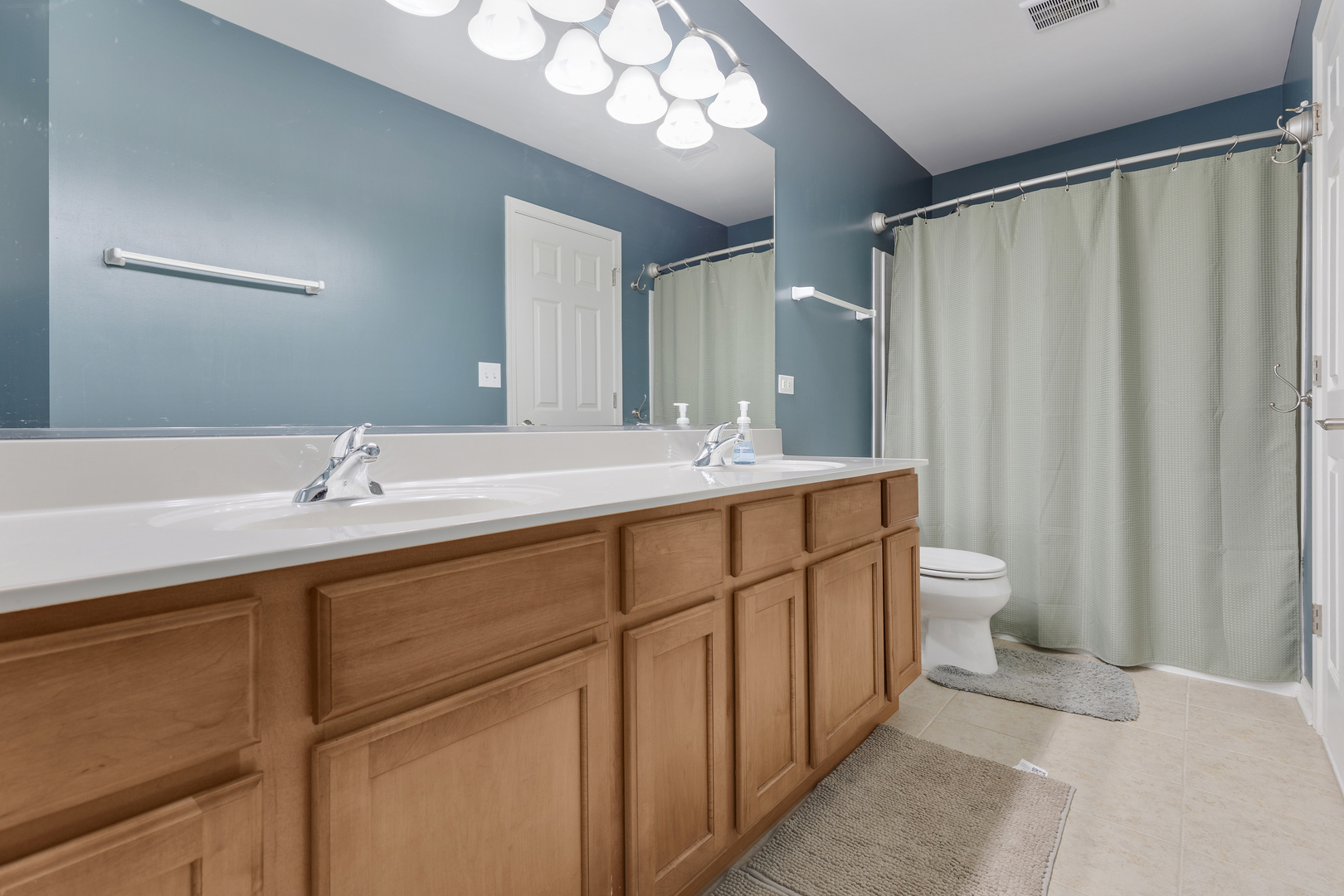 1641 Sandcastle Lane Pingree Grove, IL 60140 - Photo 9 of 15 a bathroom with a double vanity sink mirror and toilet