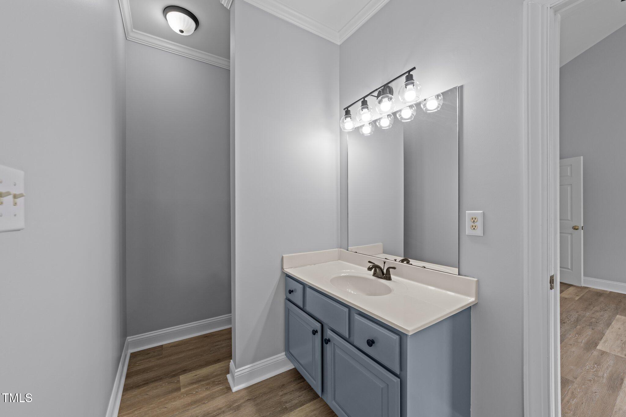 3525 La Costa Way Raleigh, NC 27610 - Photo 17 of 45 a bathroom with a sink a mirror and a light fixture