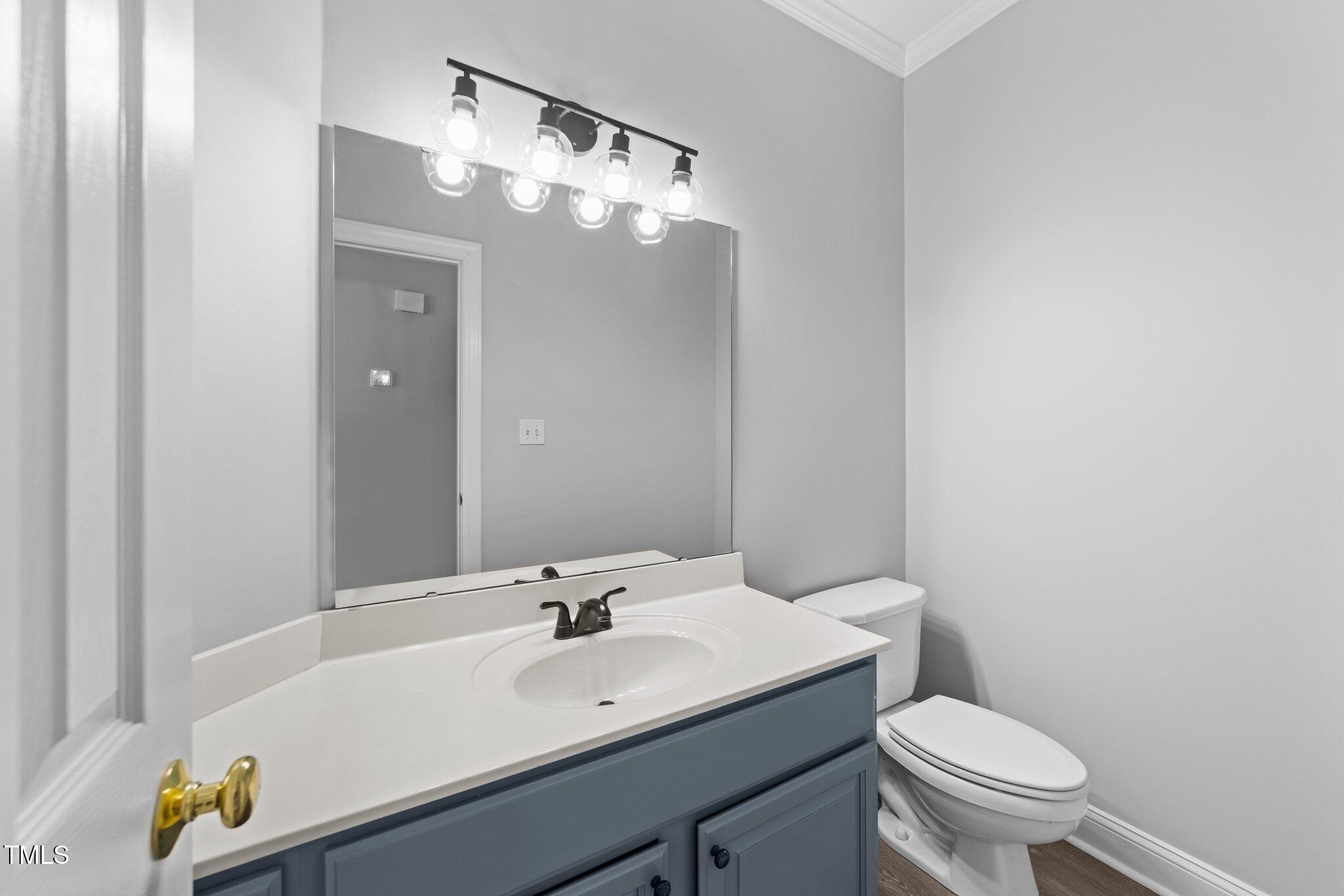 3525 La Costa Way Raleigh, NC 27610 - Photo 21 of 45 a bathroom with a toilet a sink and mirror