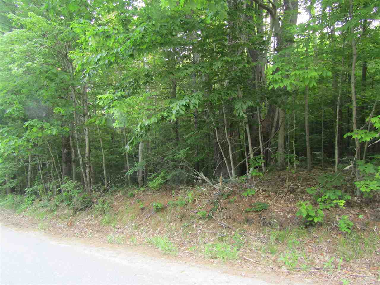 Lot 4 Eastern Corners Road, Unit 4 Campton, NH 03223 - Photo 2 of 14