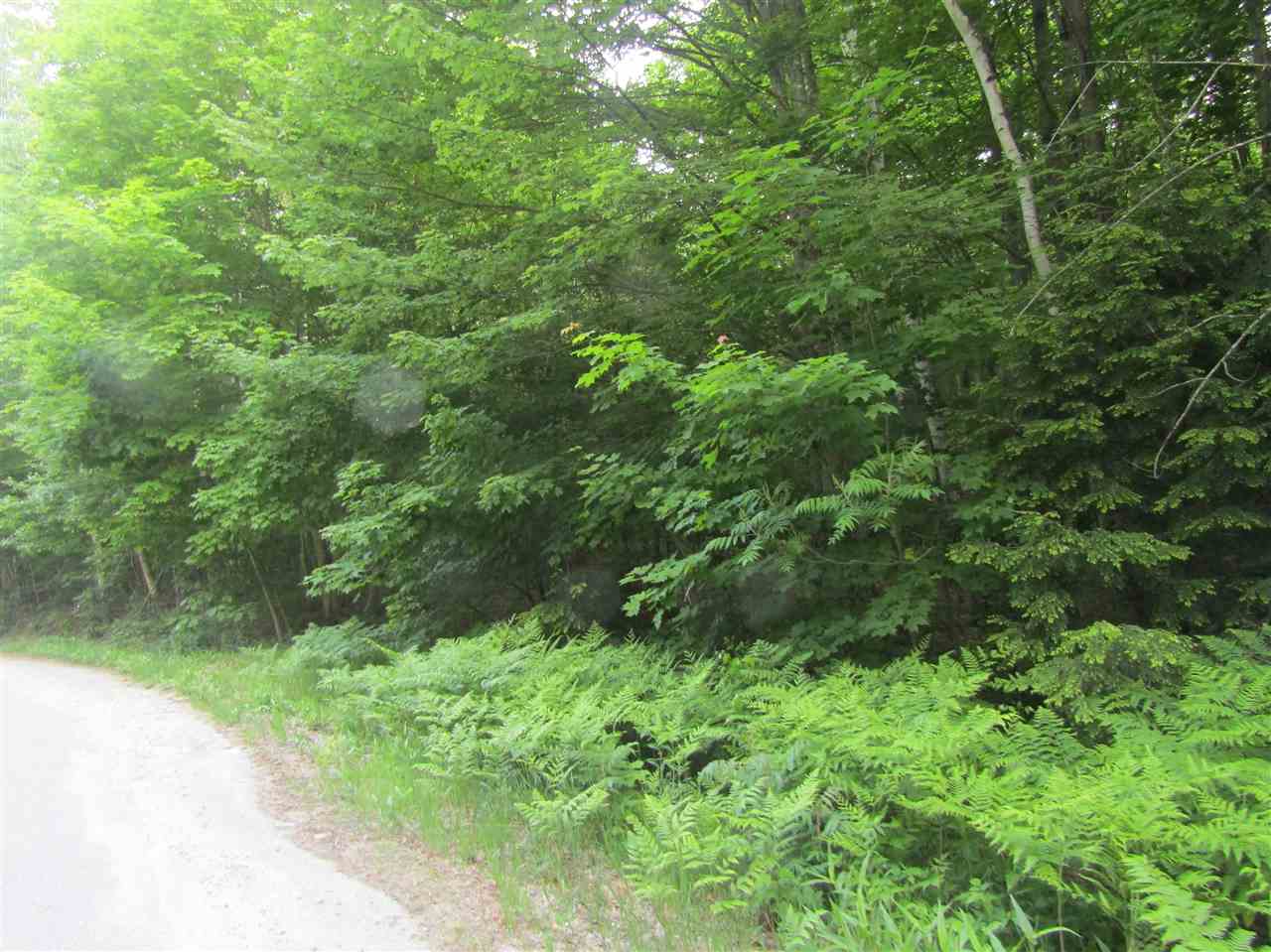 Lot 4 Eastern Corners Road, Unit 4 Campton, NH 03223 - Photo 12 of 14