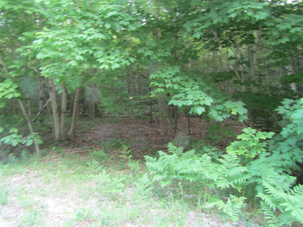 Lot 4 Eastern Corners Road, Unit 4 Campton, NH 03223 - Photo 13 of 14