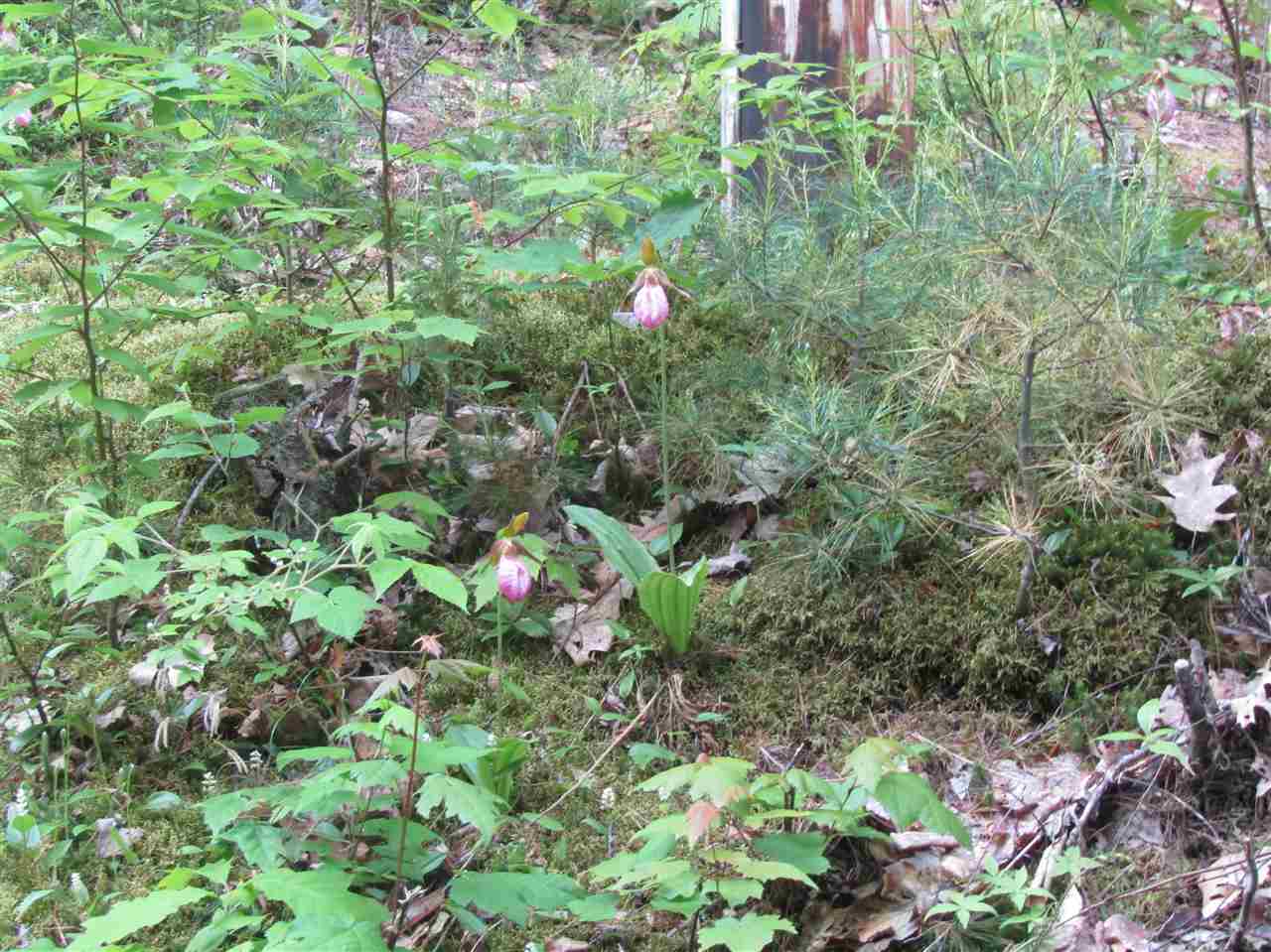 Lot 4 Eastern Corners Road, Unit 4 Campton, NH 03223 - Photo 14 of 14
