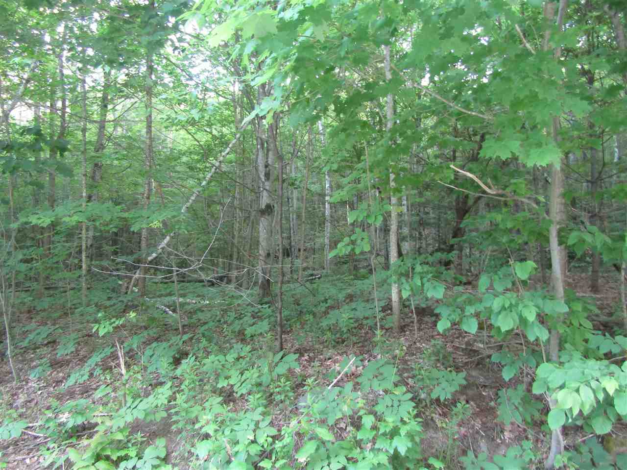 Lot 4 Eastern Corners Road, Unit 4 Campton, NH 03223 - Photo 3 of 14