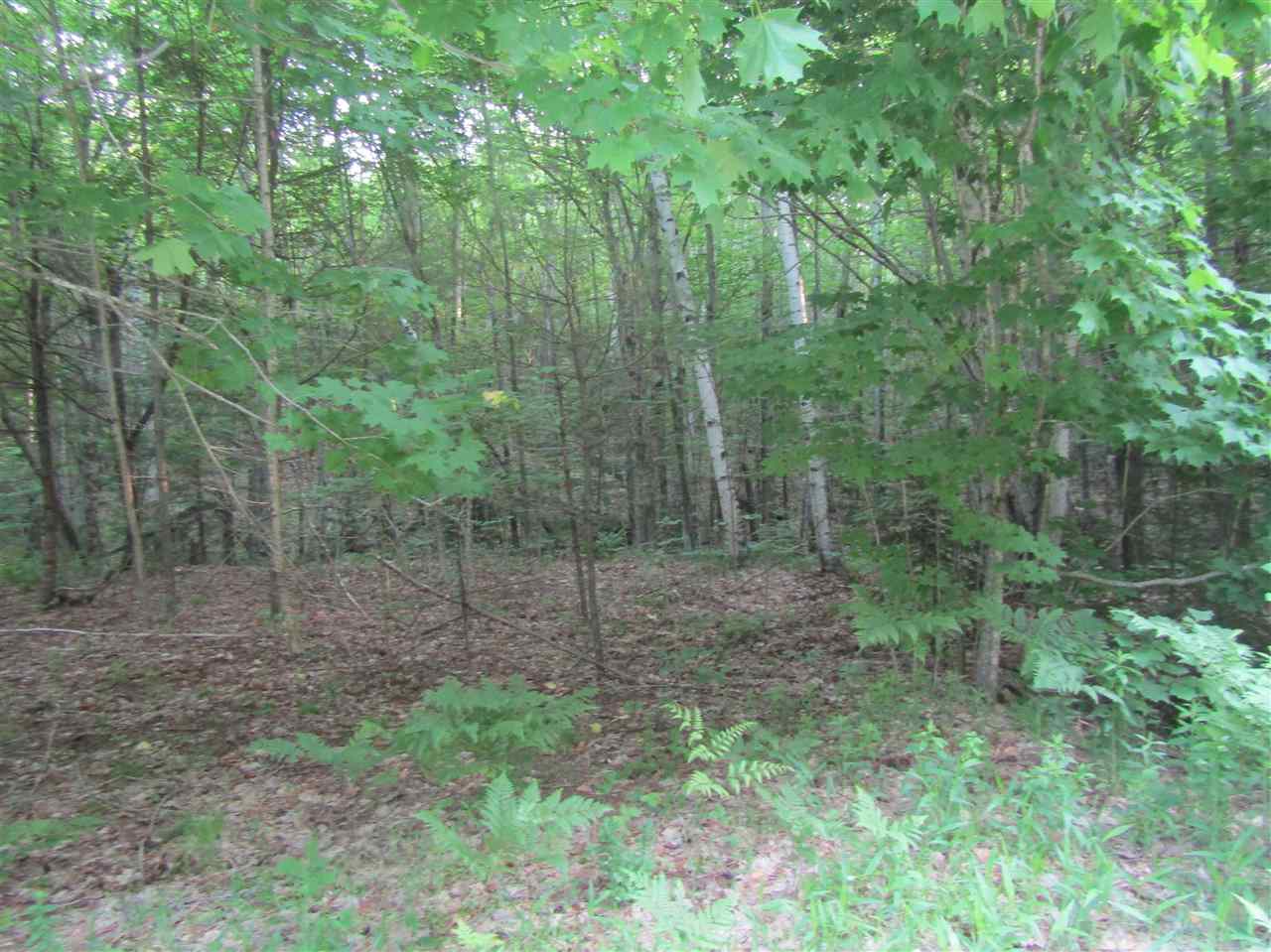 Lot 4 Eastern Corners Road, Unit 4 Campton, NH 03223 - Photo 4 of 14