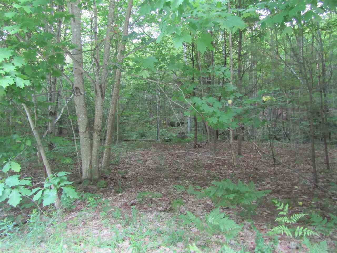 Lot 4 Eastern Corners Road, Unit 4 Campton, NH 03223 - Photo 5 of 14