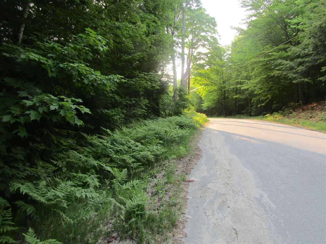 Lot 4 Eastern Corners Road, Unit 4 Campton, NH 03223 - Photo 6 of 14