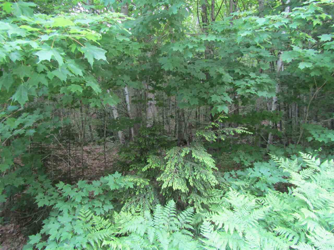 Lot 4 Eastern Corners Road, Unit 4 Campton, NH 03223 - Photo 7 of 14