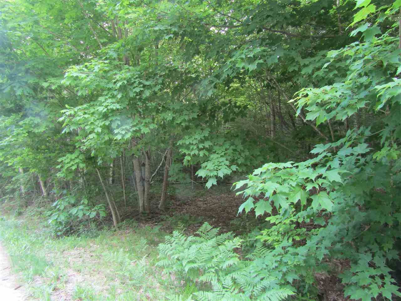 Lot 4 Eastern Corners Road, Unit 4 Campton, NH 03223 - Photo 8 of 14