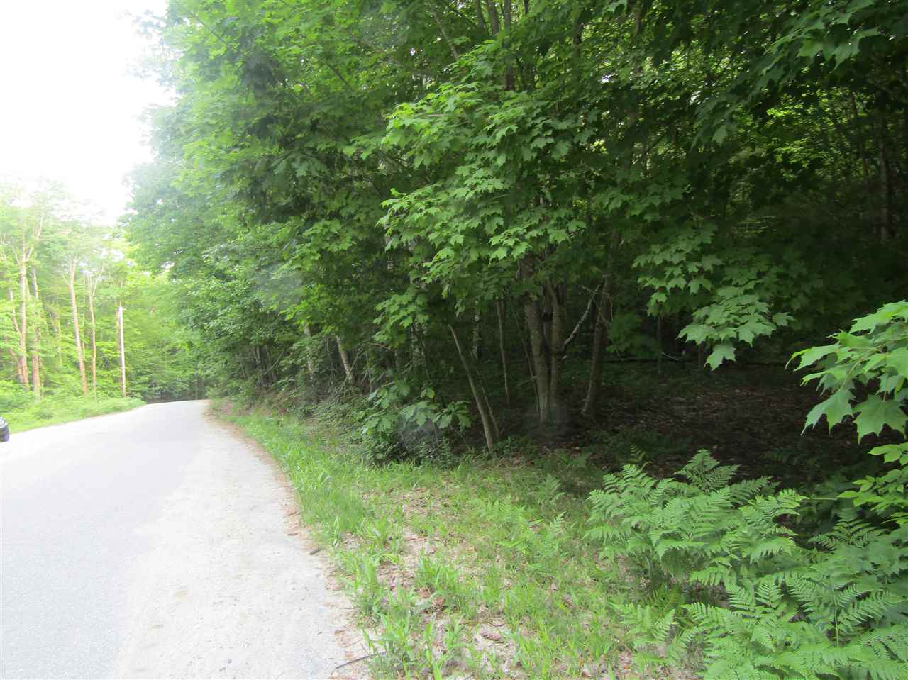 Lot 4 Eastern Corners Road, Unit 4 Campton, NH 03223 - Photo 9 of 14