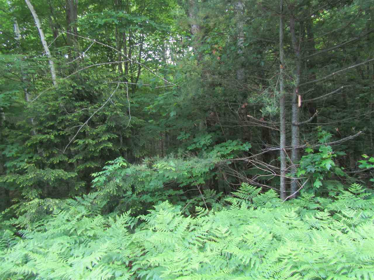 Lot 4 Eastern Corners Road, Unit 4 Campton, NH 03223 - Photo 10 of 14