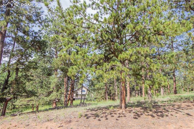 275 Thunder Ridge Road Florissant, CO 80816 - Photo 22 of 22