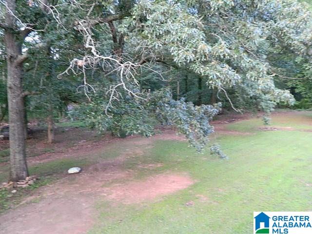 9509 Bankston Road Dora, AL 35062 - Photo 8 of 35 Gallery Image 8