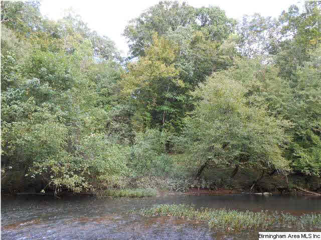 Meherg Road, Unit 28 Rockford, AL 35136 - Photo 10 of 25