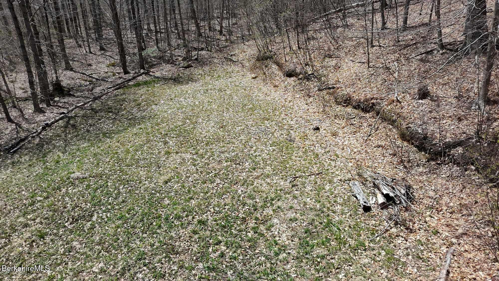 1 Old Orebed Road Lanesborough, MA 01237 - Photo 2 of 8 a view of a dry yard with trees