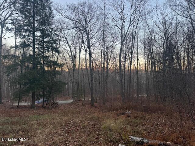 1 Old Orebed Road Lanesborough, MA 01237 - Photo 5 of 8 a backyard of a house with lots of green space