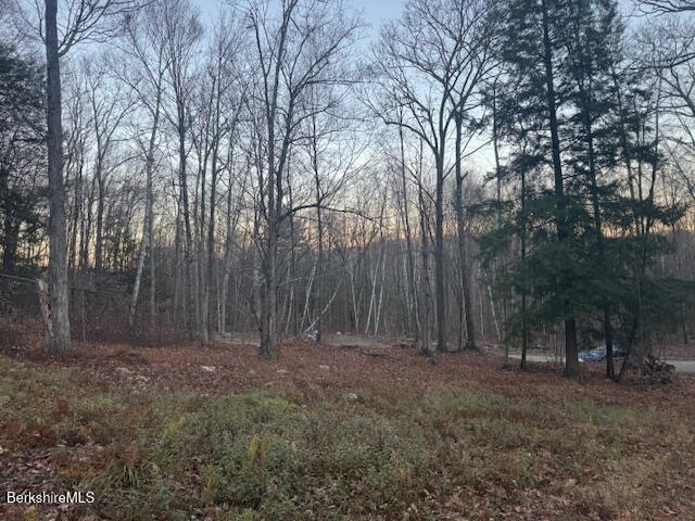 1 Old Orebed Road Lanesborough, MA 01237 - Photo 7 of 8 a view of outdoor space with green space
