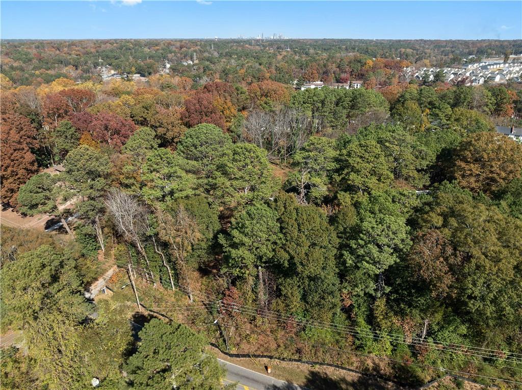 4014 Washington Road East Point, GA 30344 - Photo 4 of 6 a view of a forest with a forest