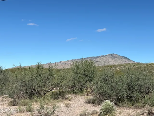 a view of a mountain range with trees in the background