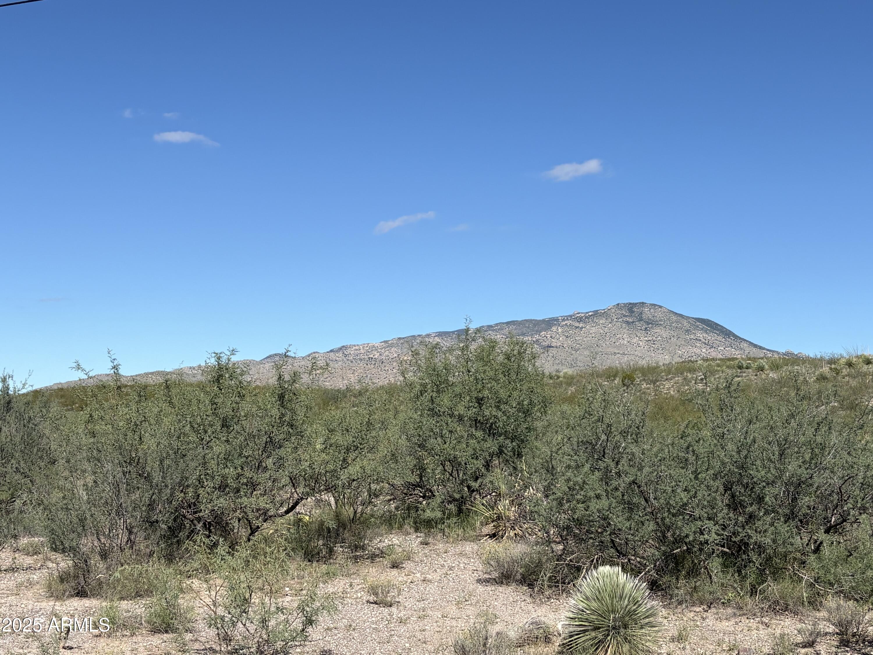 a view of a mountain range with trees in the background