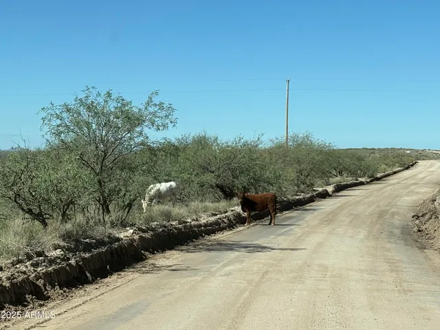 $135,000 | Tbd West Bell Road, Benson, AZ 85602