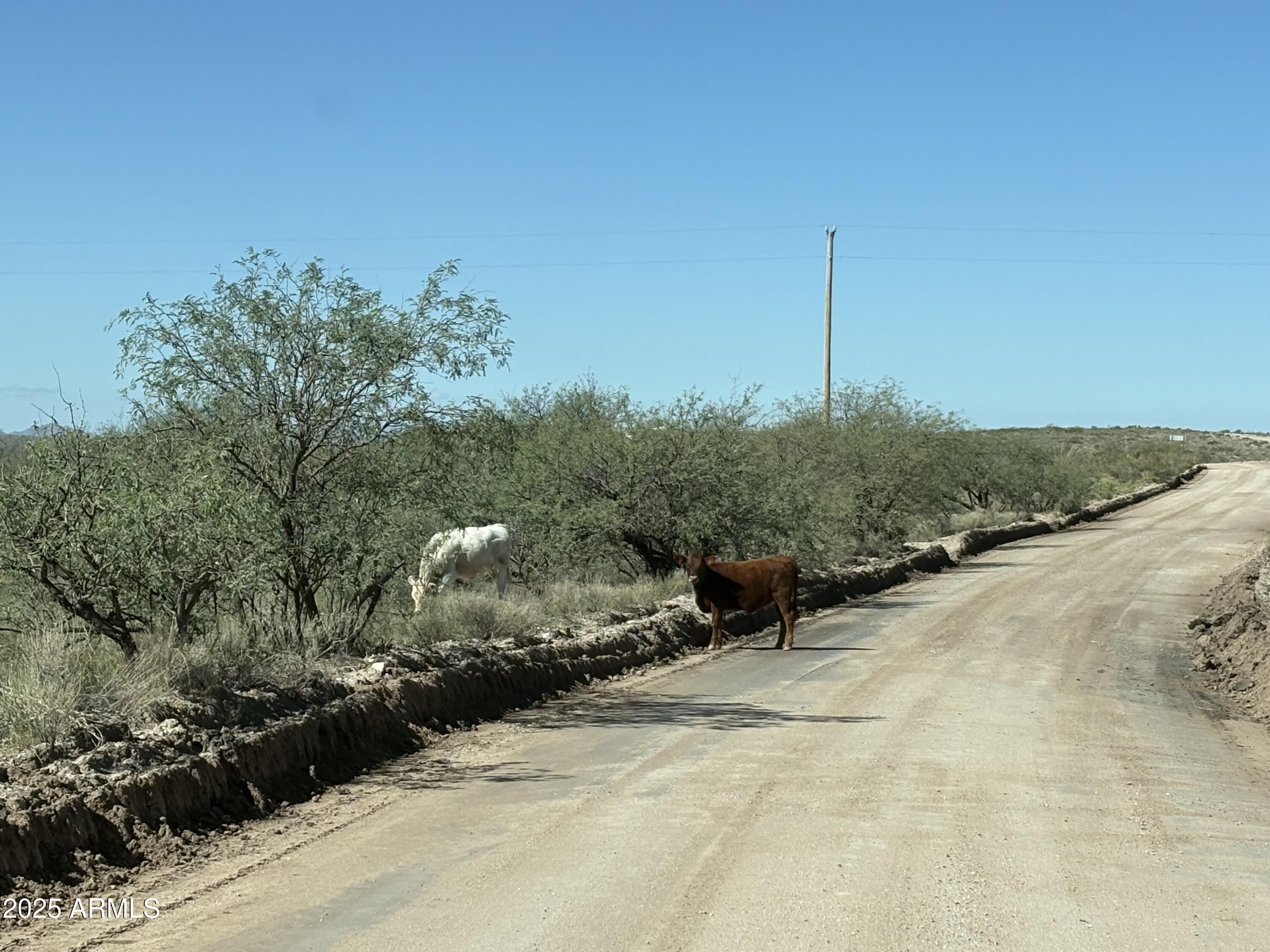 Tbd West Bell Road Benson, AZ 85602 - Photo 2 of 6 a view of a pathway with a park
