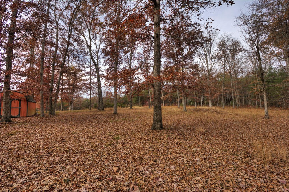 282 Anthony Road Deer Lodge, TN 37726 - Photo 28 of 40 Gallery Image 28