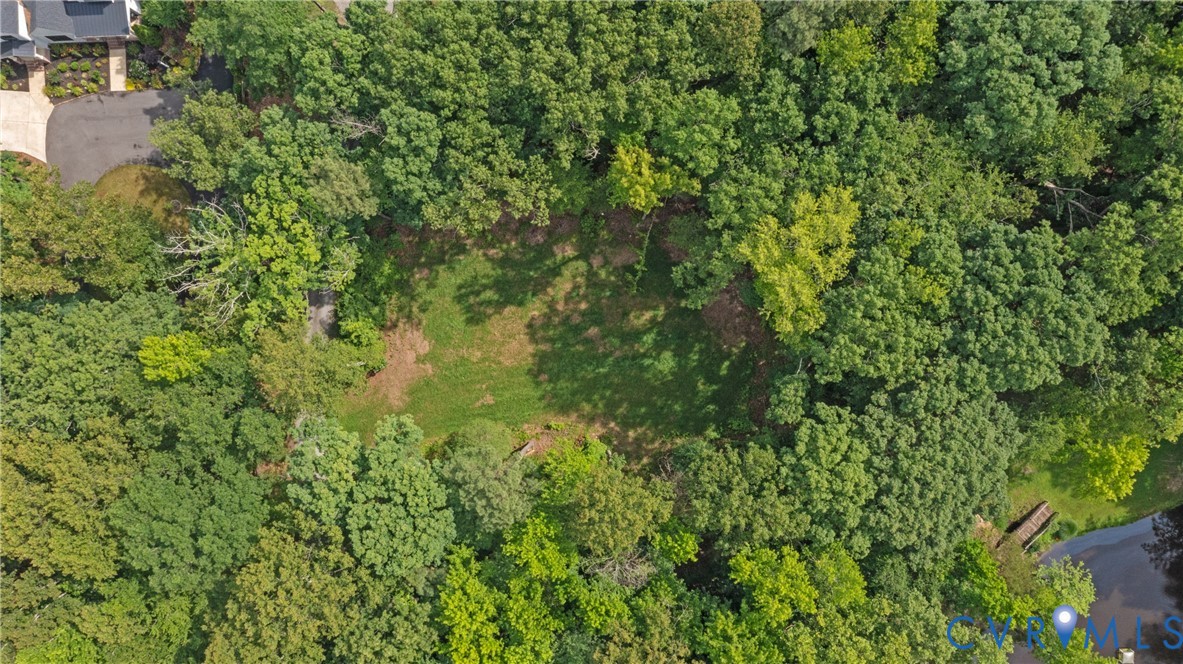 12554 Kain Road Glen Allen, VA 23059 - Photo 70 of 75 a view of a lush green forest with lots of trees
