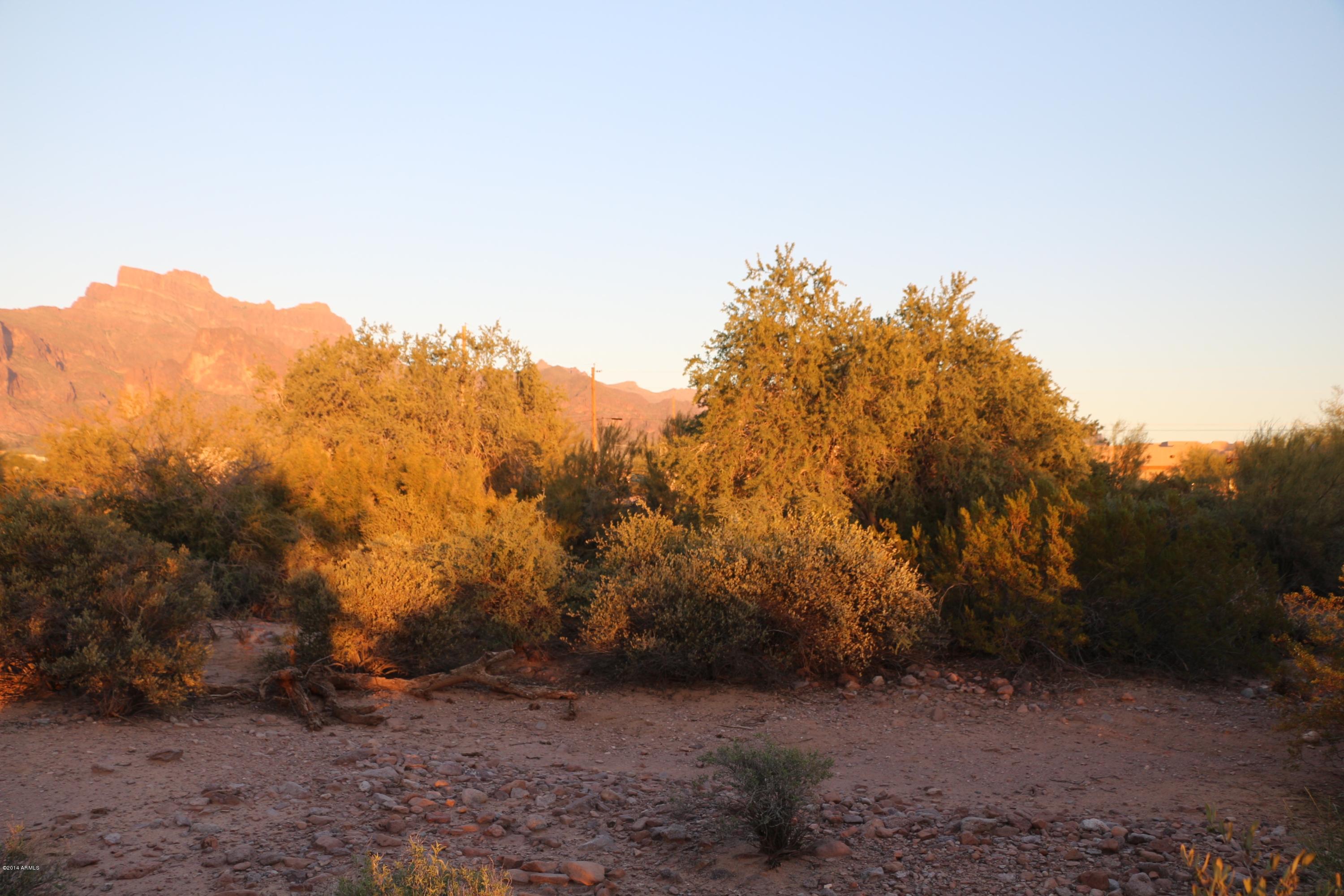 50 South Sixshooter Road Apache Junction, AZ 85119 - Photo 2 of 7 IMG_4147