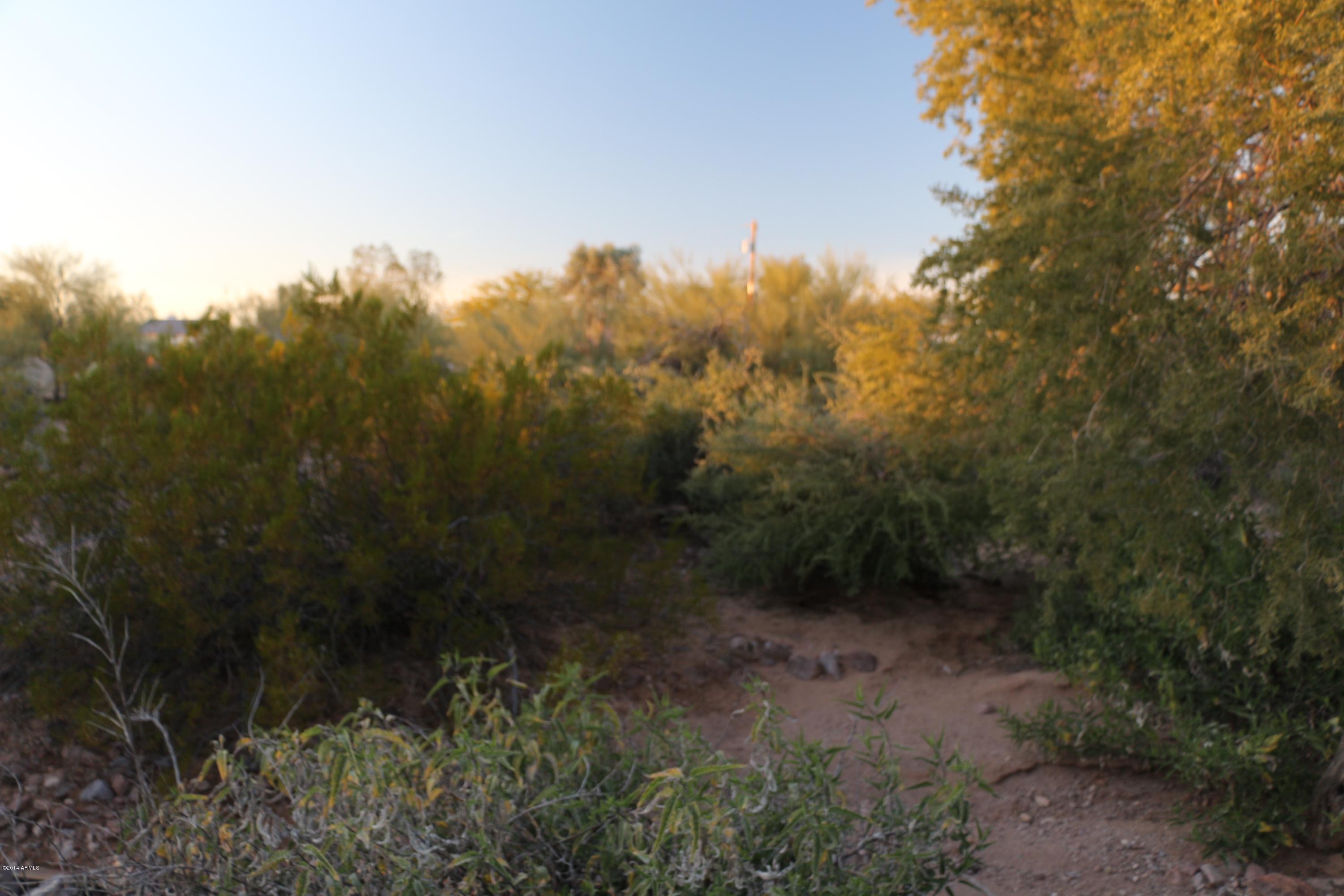 50 South Sixshooter Road Apache Junction, AZ 85119 - Photo 4 of 7 IMG_4149