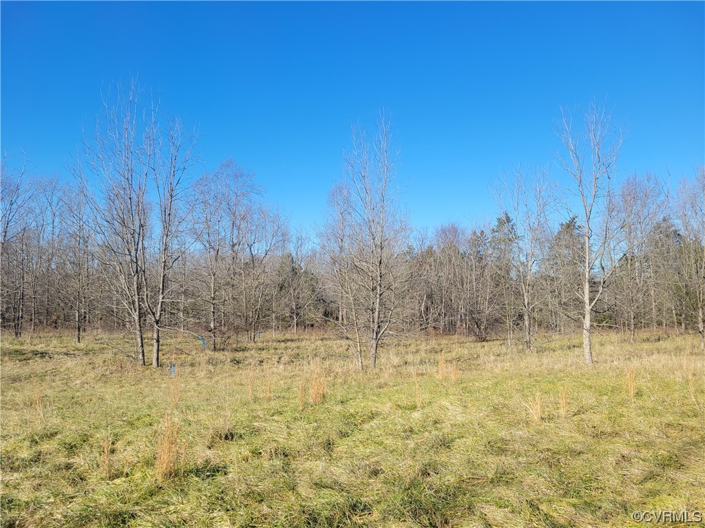 2080 Wills Road Ford, VA 23850 - Photo 1 of 2 a view of a yard with trees in the background