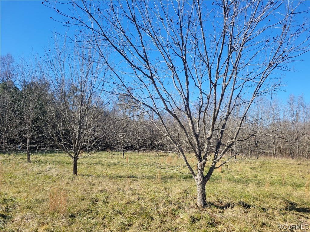 2080 Wills Road Ford, VA 23850 - Photo 2 of 2 a view of a yard with wooden fence