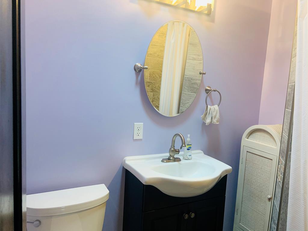 677 Sam Martin Road Dandridge, TN 37725 - Photo 18 of 38 bathroom 2