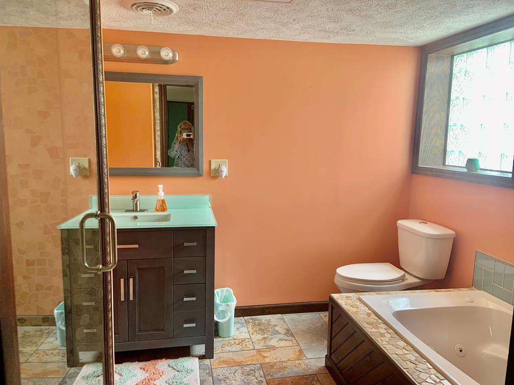 677 Sam Martin Road Dandridge, TN 37725 - Photo 21 of 38 bathroom down 2