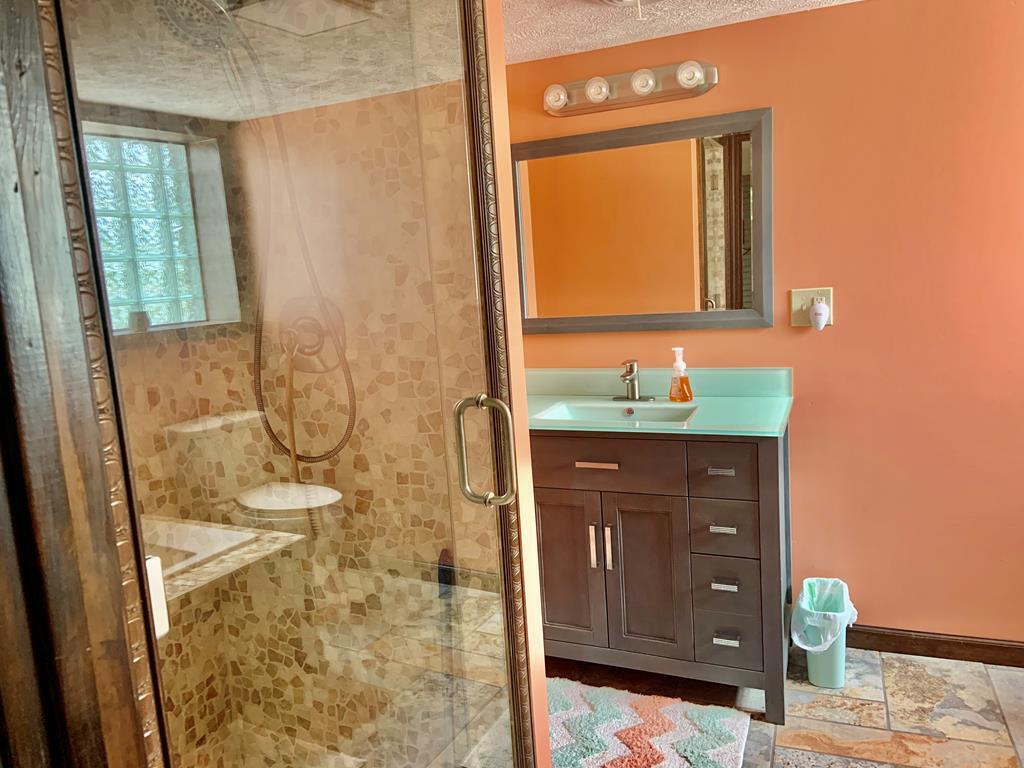677 Sam Martin Road Dandridge, TN 37725 - Photo 22 of 38 bathroom down