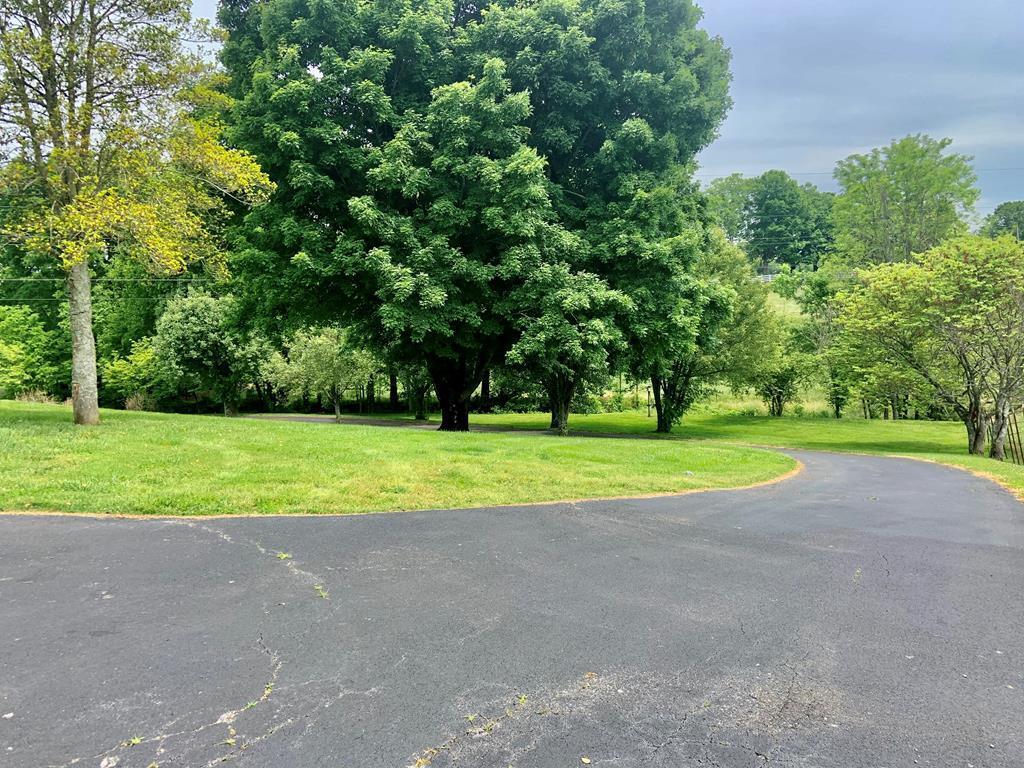 677 Sam Martin Road Dandridge, TN 37725 - Photo 34 of 38 yard 2
