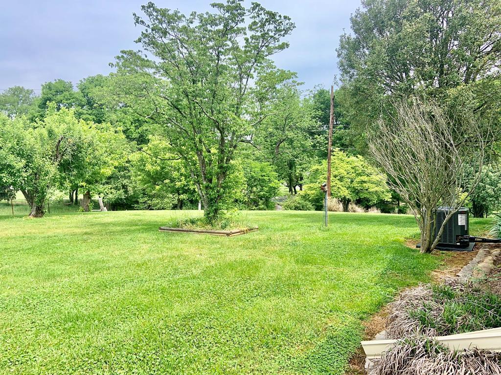 677 Sam Martin Road Dandridge, TN 37725 - Photo 35 of 38 yard 3