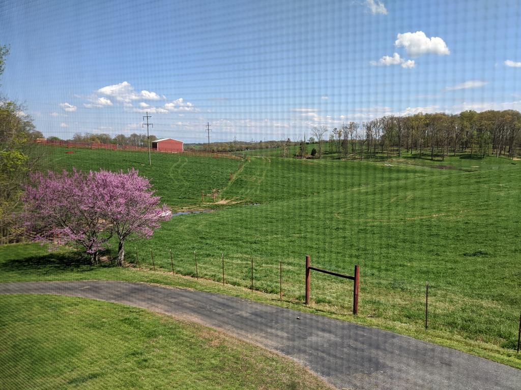 677 Sam Martin Road Dandridge, TN 37725 - Photo 37 of 38 yard